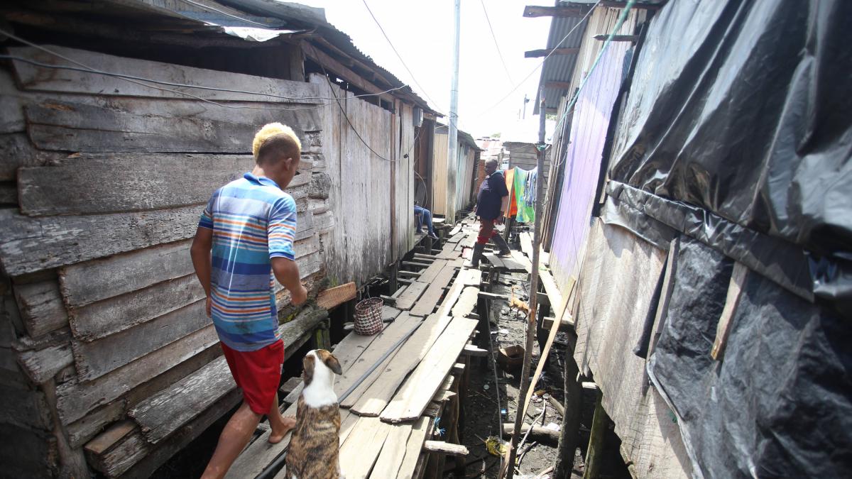 Estas son recomendaciones para la comunidad costera en Nariño
 – Ojo critico