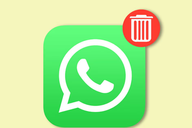 Cómo vaciar el papel en WhatsApp

 – Ojo critico