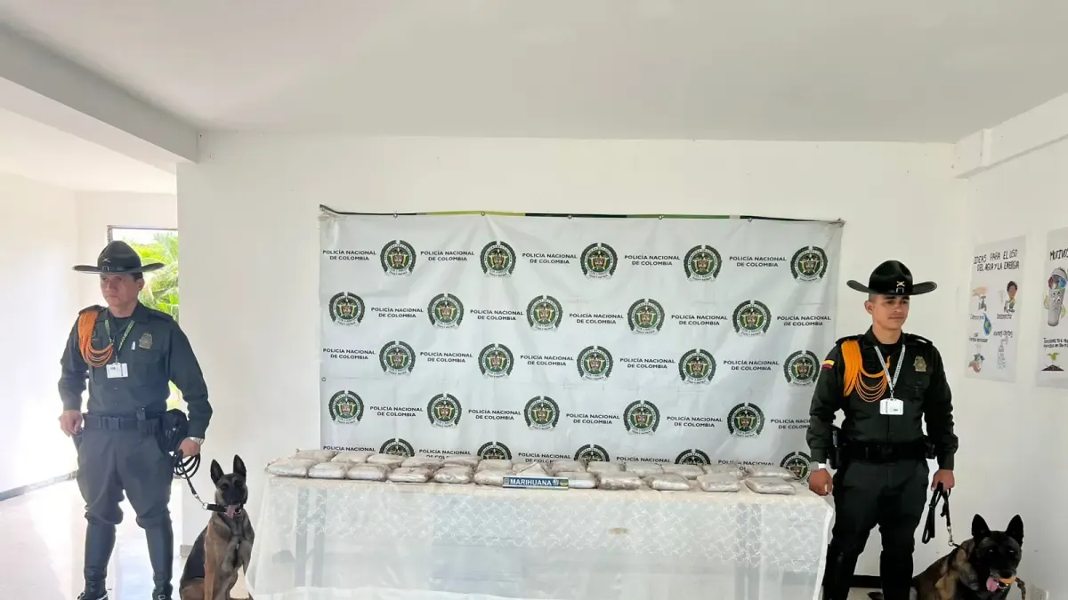 Policías de cuatro ligadas que lo habilitaron

 – Ojo critico
