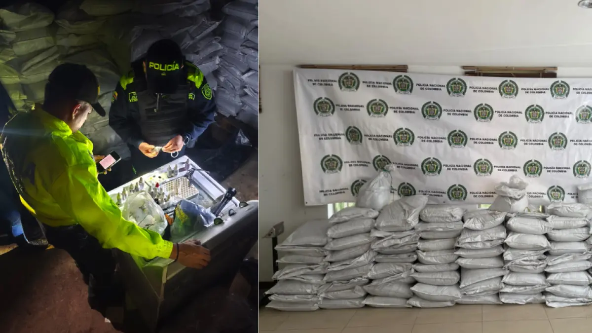 Toman más de dos toneladas de cocaína en carbón en el pueblo Jamundí: fue una búsqueda

 – Ojo critico