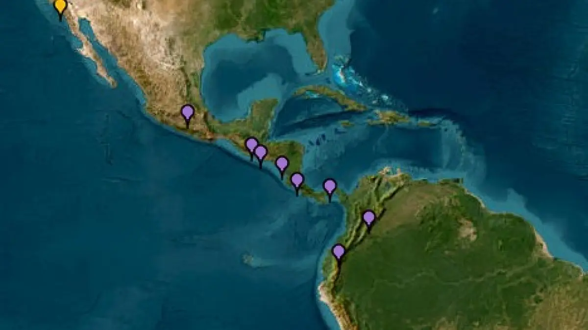 UNGD ordenó la evacuación del tsunami a los municipios en la costa del Pacífico en Colombia después del tamaño de 8.8 terremoto en Rusia

 – Ojo critico