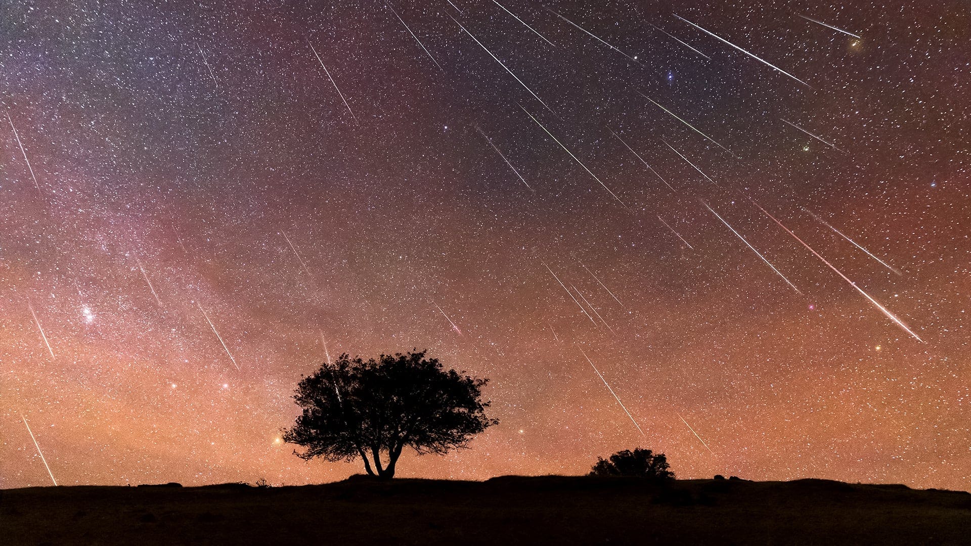 Perseid Meteor Rain – 

 – Ojo critico