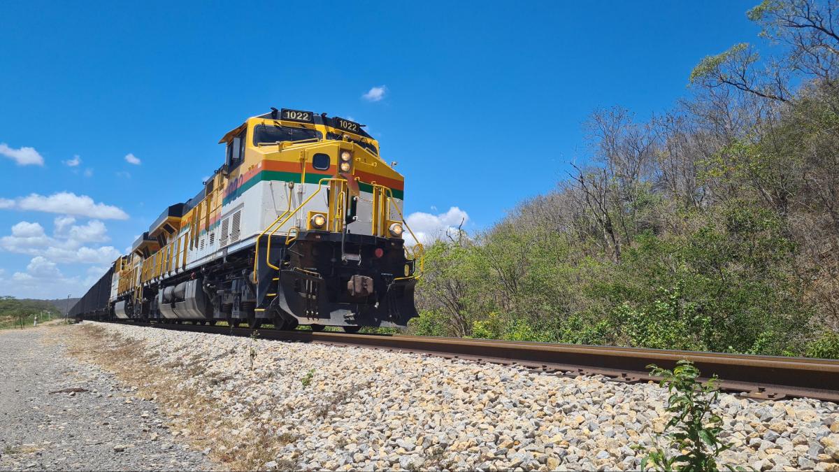 Wayúu una chica que fue en busca de agua al lomo de cerdo muere abrumada por Cerrejón Train
 – Ojo critico