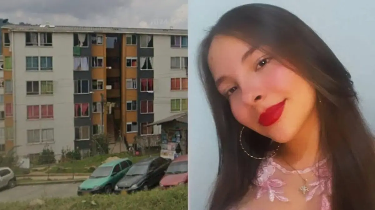 Silvana Torres, una madre que asesinó a su hija Antonella, dos años en Manizales, dio nuevos detalles: «Entré en el apartamento …»
 – Ojo critico