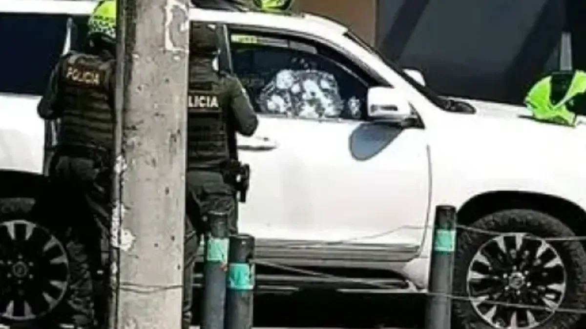 ¿Quién fue el apodo de Krasnolud, víctima de un ataque sycarial con un rifle en Palmir? Uno de los asesinos corrió con armas en la mano

 – Ojo critico