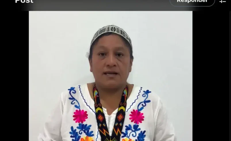 ¿Por qué la senadora Aida Quilcé habló con una patrulla militar en el camino entre Cauca y Huila? Eso es lo que dijo un congresista

 – Ojo critico
