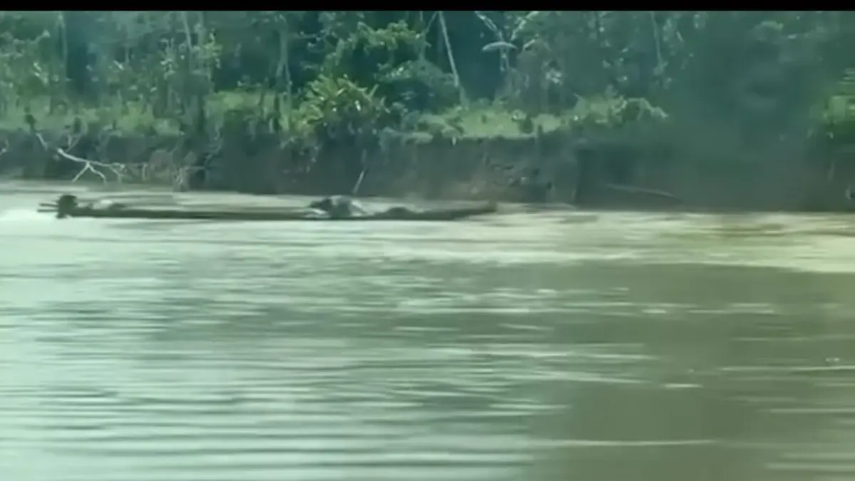 Las fuerzas navales frustraban un explosivo ataque en bote en el río Guaviare: no se registran víctimas
 – Ojo critico
