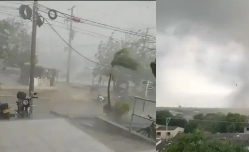 Una tormenta destructiva es causada por una emergencia en la comuna de la soldadada: casas de drenaje, árboles caídos y cortes de energía

 – Ojo critico