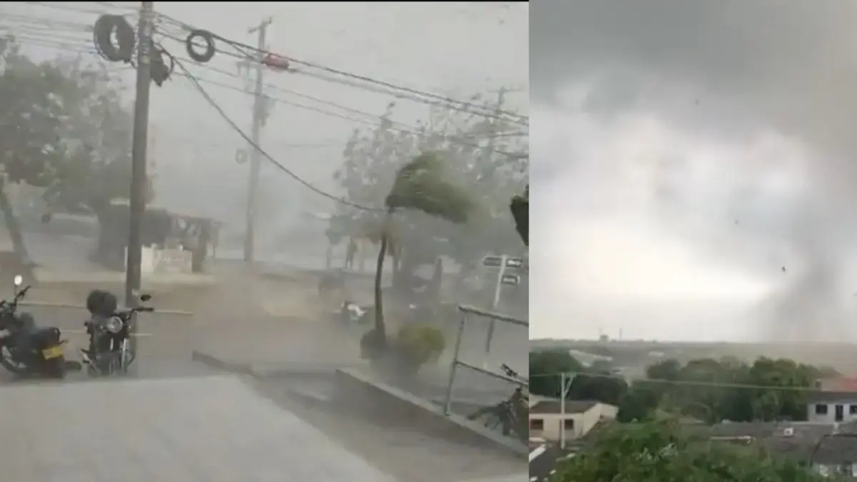 Una tormenta destructiva es causada por una emergencia en la comuna de la soldadada: casas de drenaje, árboles caídos y cortes de energía
 – Ojo critico