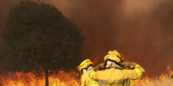 Día Mundial de Prevención de Incendios Forestales: este lunes no se celebra el incendio, se evita
 – Ojo critico