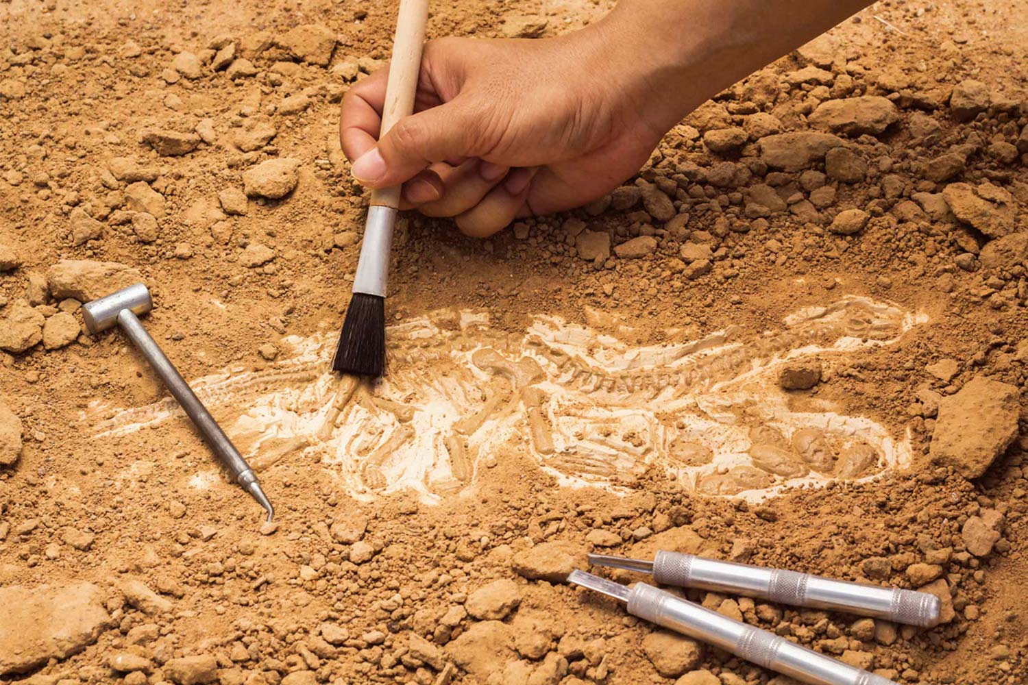Día internacional de la arqueología: una mirada al pasado que construye un futuro
 – Ojo critico