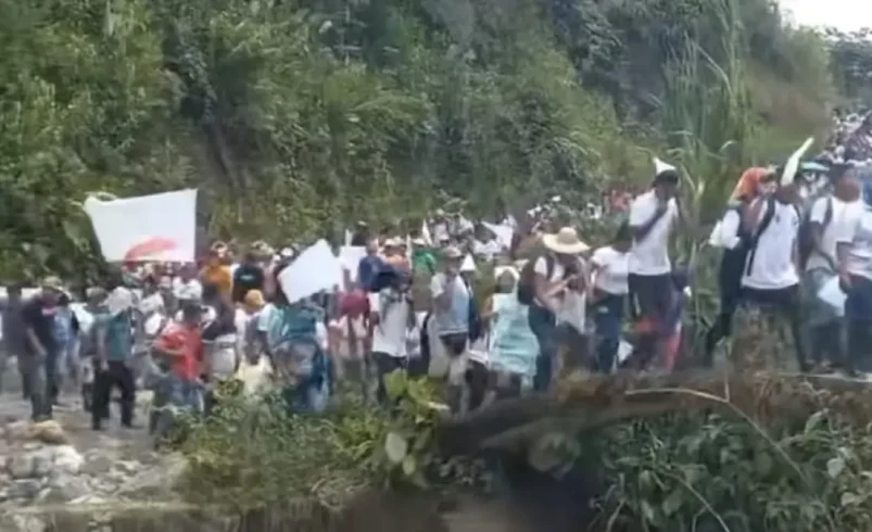 Discapacidad y desplazamiento forzado, dos terribles plagas que persiste en el departamento de Nariño en el complejo escenario de violencia

 – Ojo critico