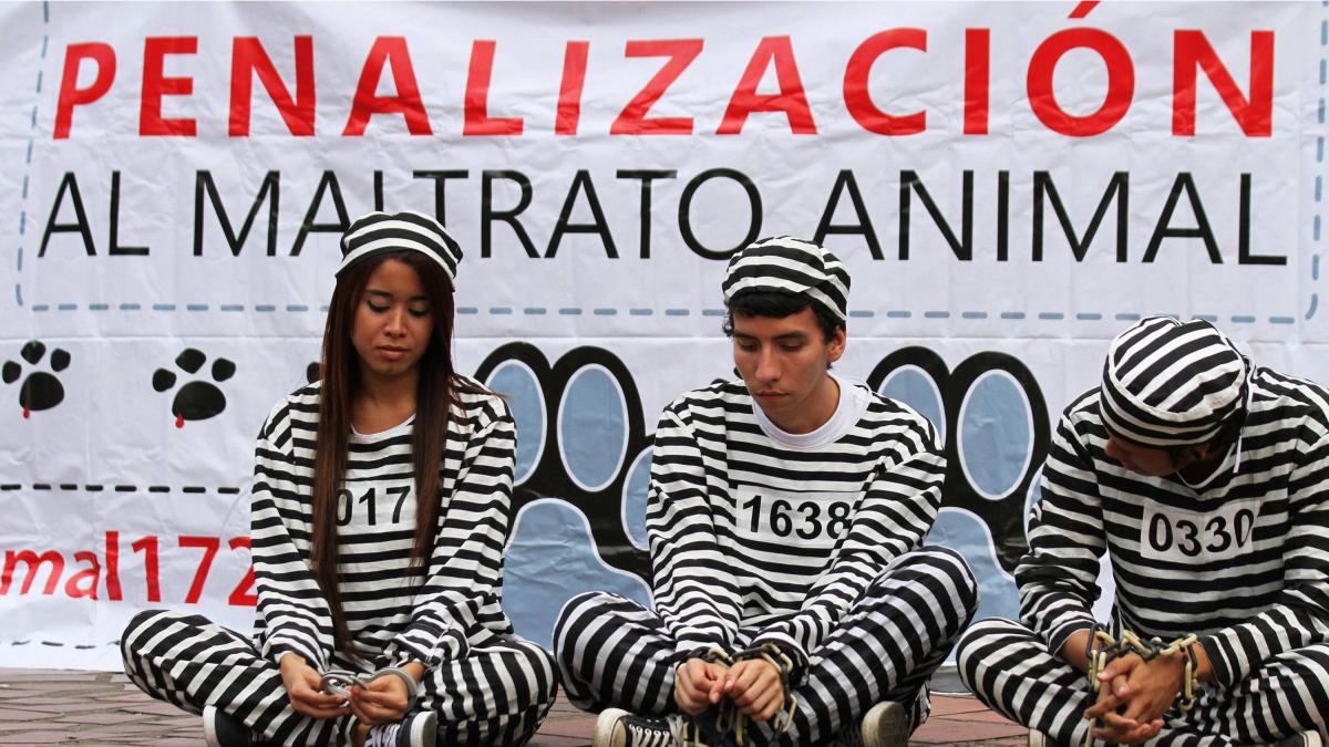 El animal se derrumbó después de un brutal ataque con un machete
 – Ojo critico