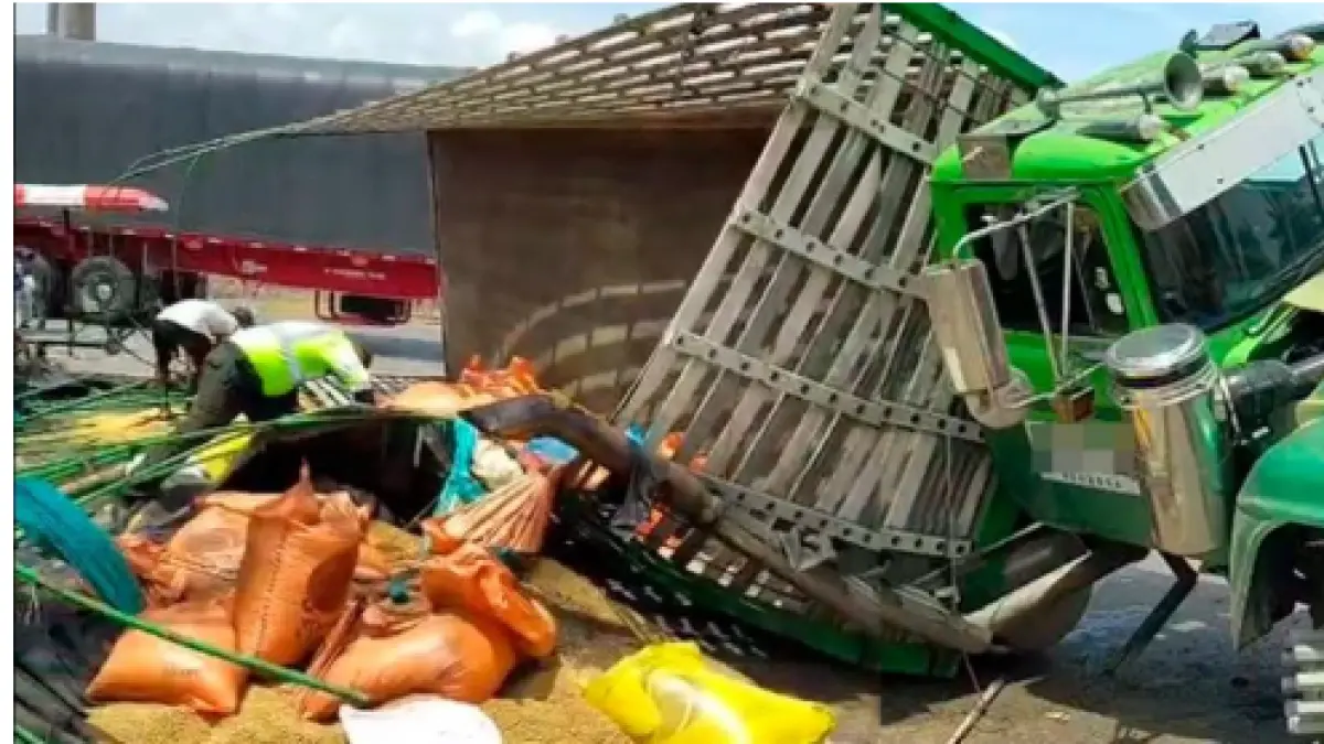 El ladrón muere aplastado cuando fue robado de comida animal
 – Ojo critico
