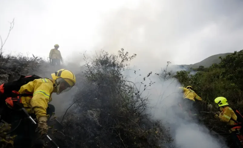 Incendio forestal en el oeste de
 – Ojo critico