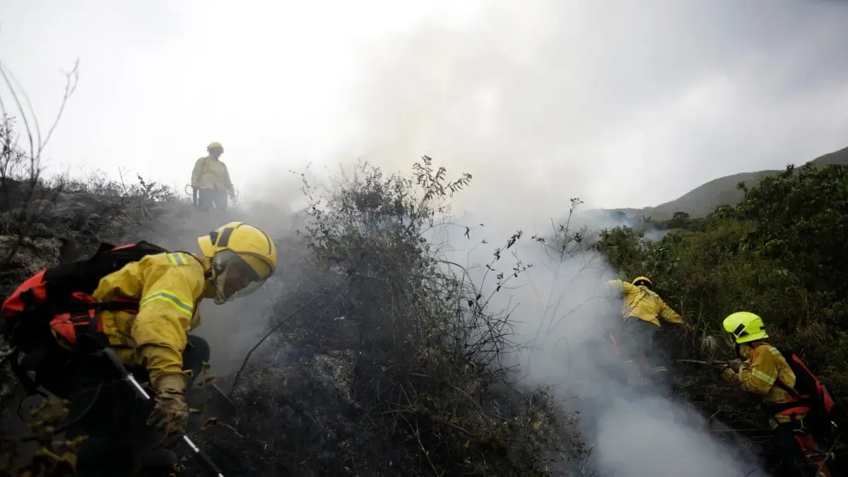Incendio forestal en el oeste de
 – Ojo critico