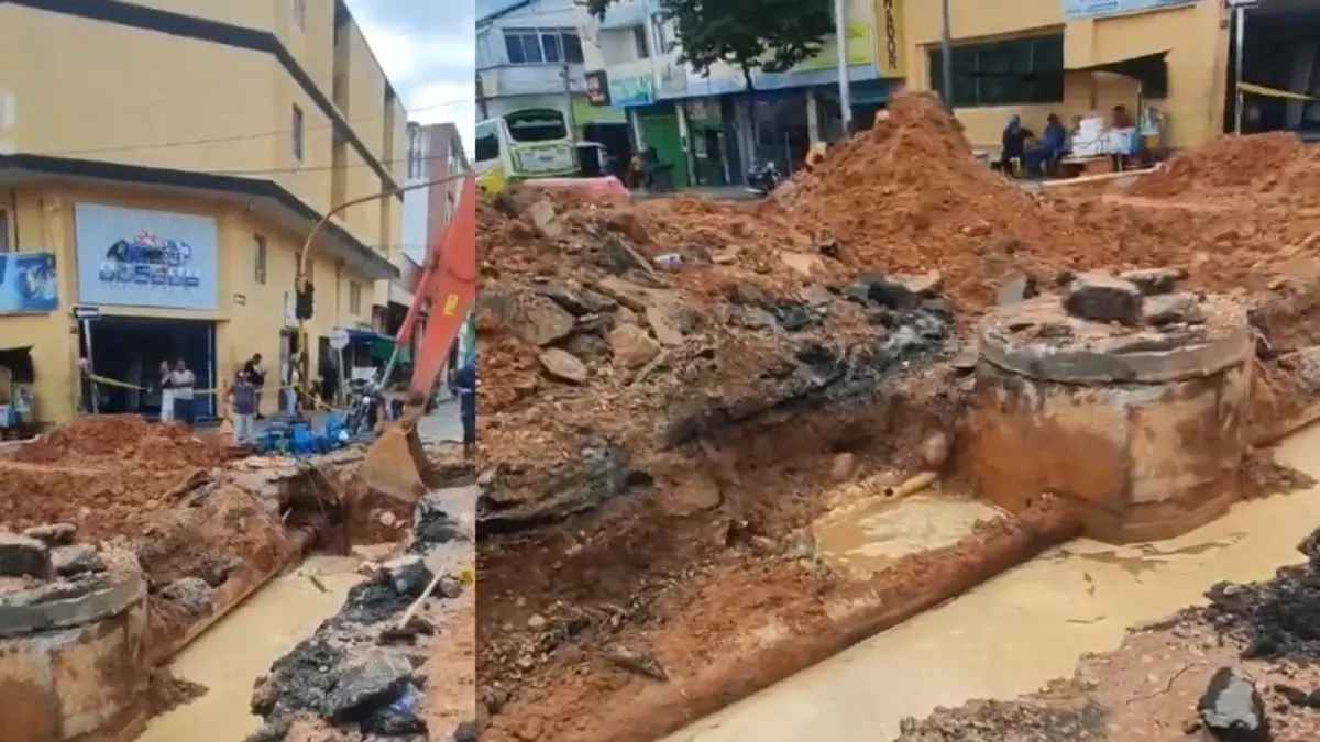 Los viales para los arreglos durarán hasta 15 días
 – Ojo critico
