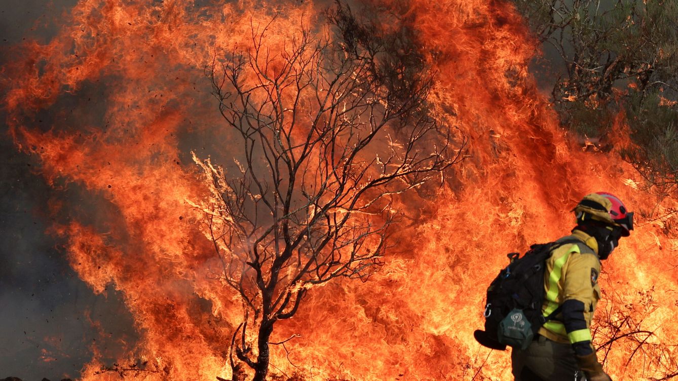 Fuego en España – 
 – Ojo critico