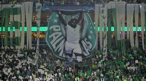 Palmeiras está más motivado que nunca
 – Ojo critico