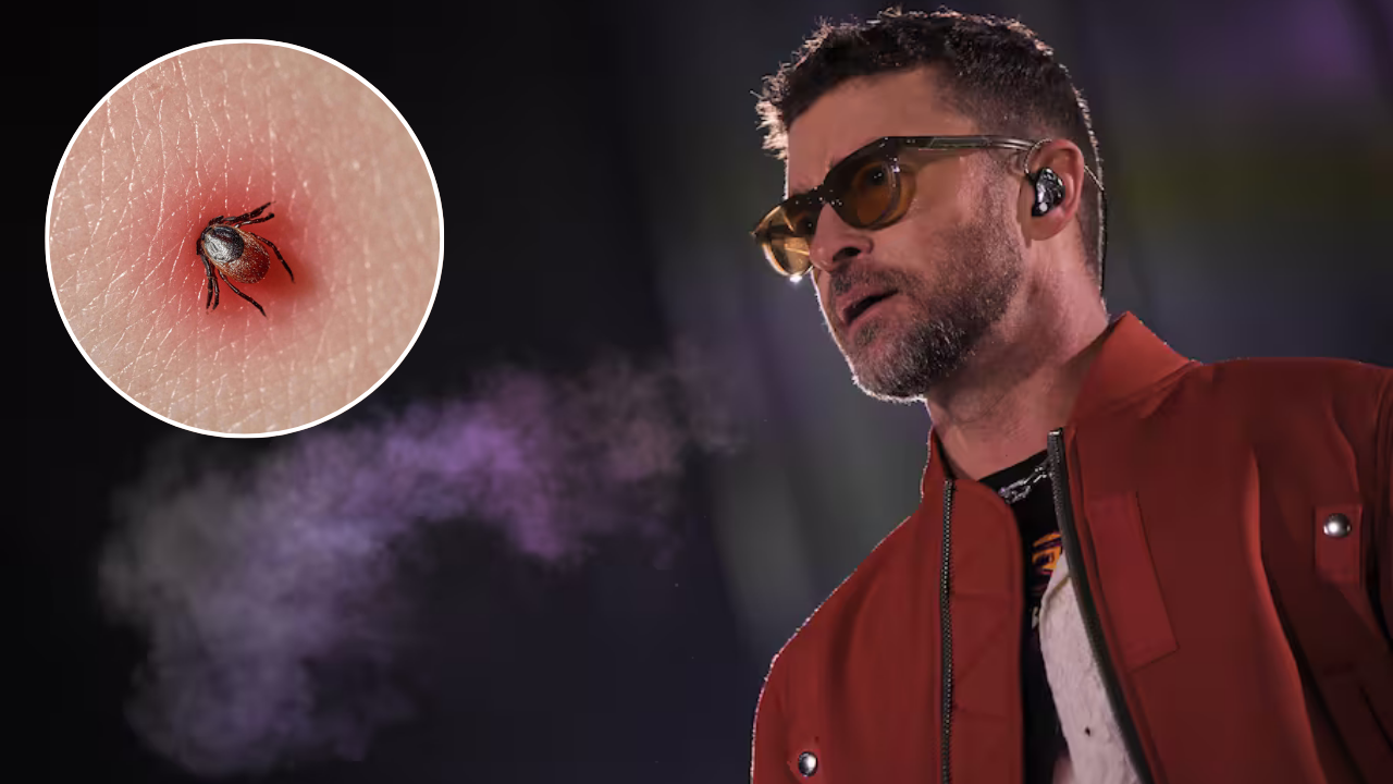Garrapatas y lyme: la enfermedad que afecta a Timberlake

 – Ojo critico
