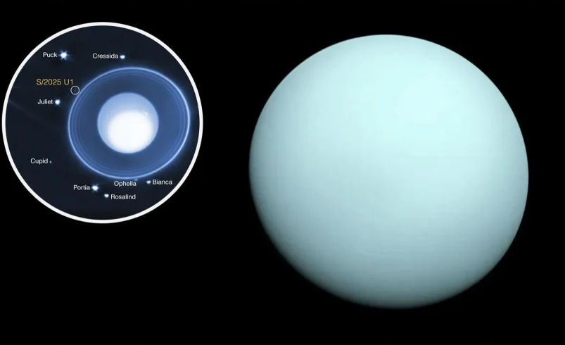 Descubrirá una nueva luna pequeña de Circle Urano gracias al telescopio Webb

 – Ojo critico