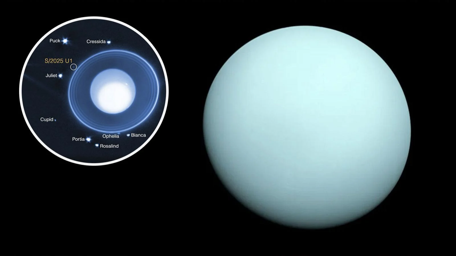 Descubrirá una nueva luna pequeña de Circle Urano gracias al telescopio Webb
 – Ojo critico