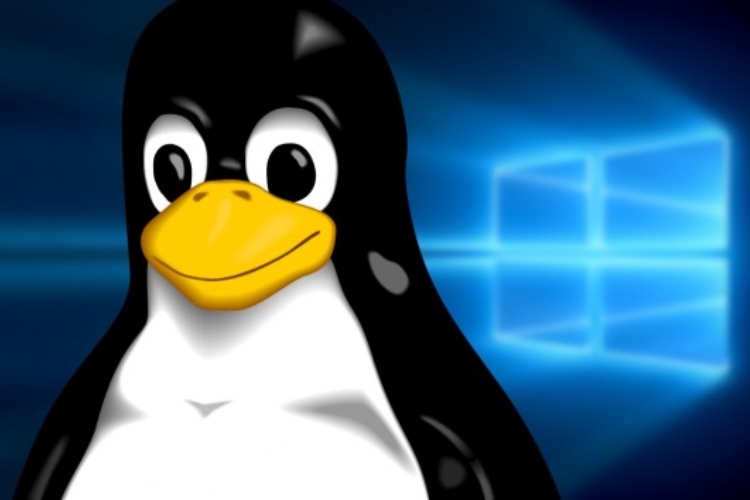 Linuxfx 2025: «Windows» de Linux se renueva
 – Ojo critico
