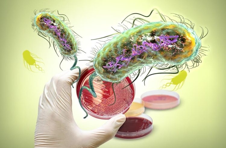 Los científicos convierten las bacterias en procesadores digitales

 – Ojo critico