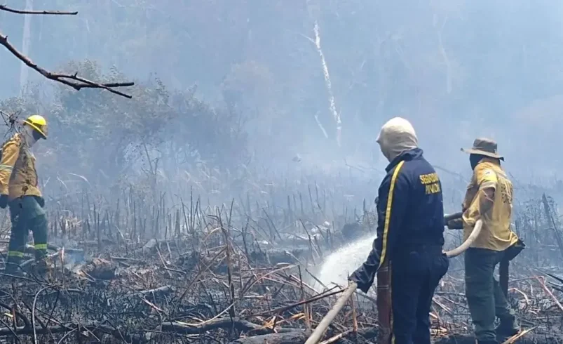 Salamanca Island, una reserva natural que ya ha perdido más de 1130 hectáreas debido a un incendio

 – Ojo critico