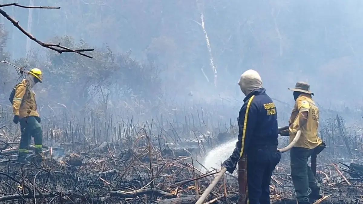 Salamanca Island, una reserva natural que ya ha perdido más de 1130 hectáreas debido a un incendio
 – Ojo critico