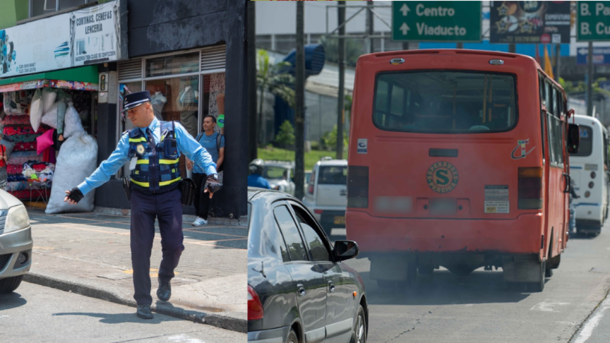¡Un ojo con limitaciones de movilidad! Pico y el tablero en Pereira para el jueves 4 de septiembre de 2025
 – Ojo critico
