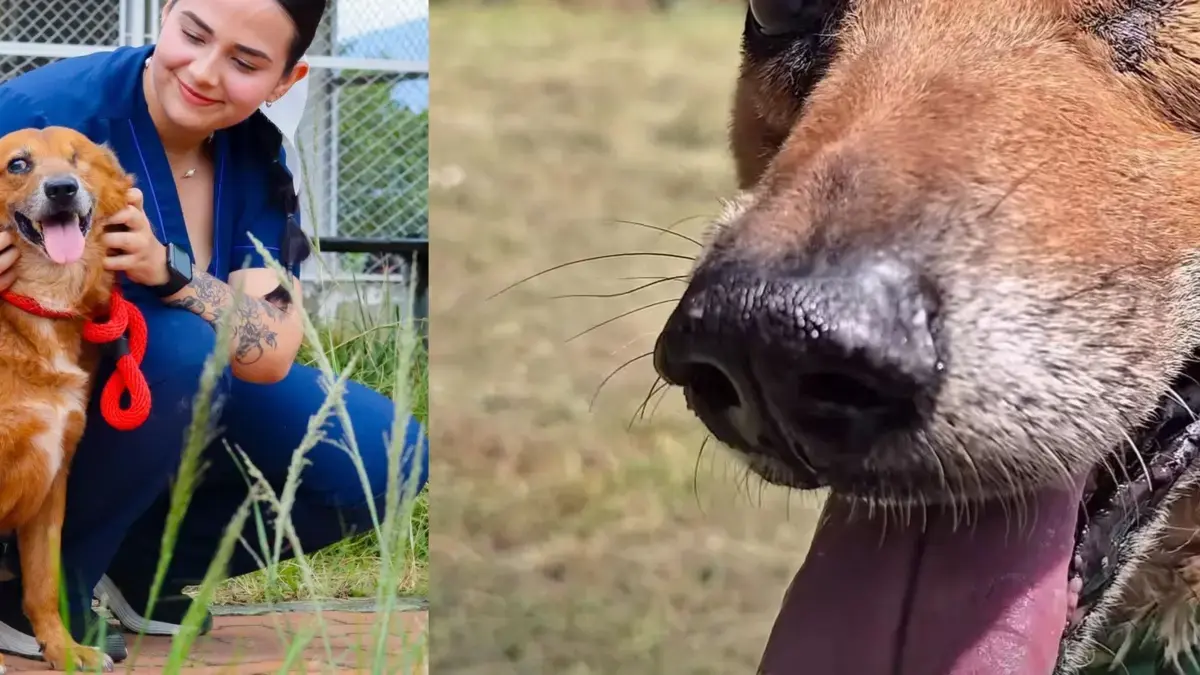 Después de dos años de búsqueda adoptiva, encontró una familia
 – Ojo critico