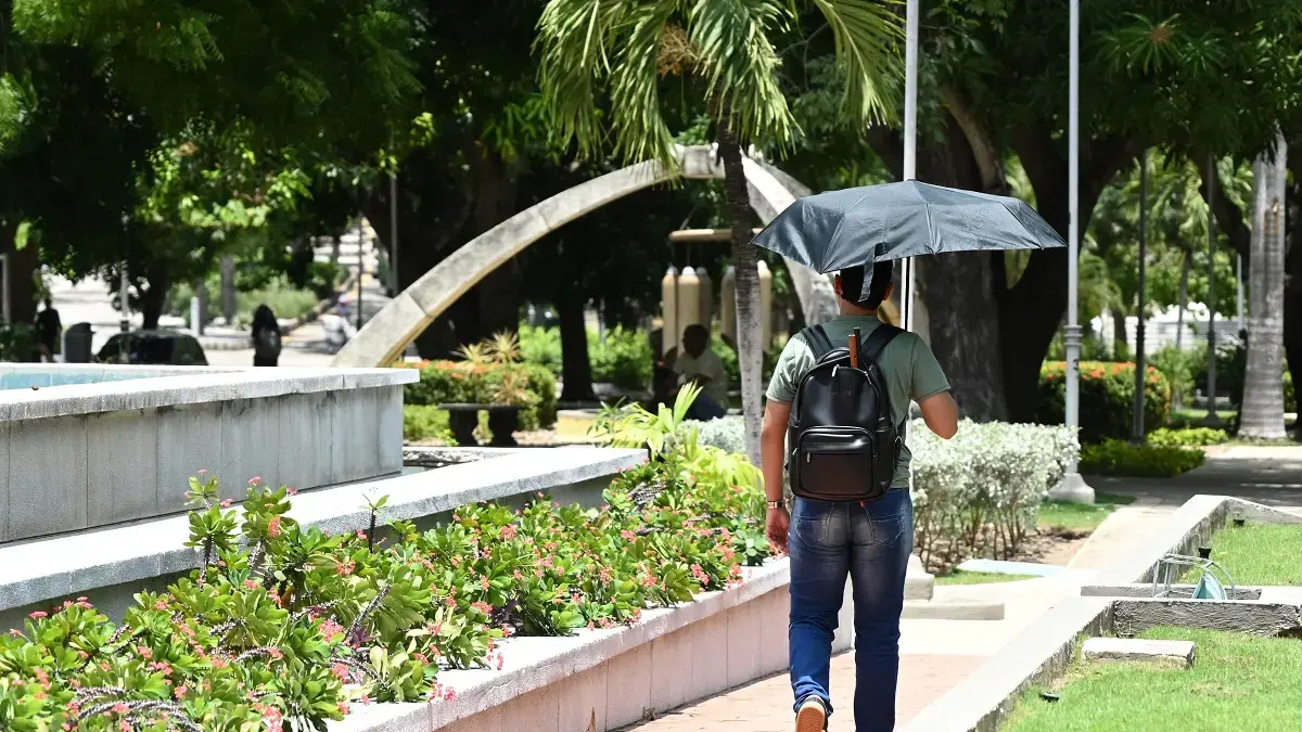 Con drones, suministros de árboles y mediciones térmicas, en Barranquilla diseña la aplicación para caminar en rutas sombreadas durante la ola de calor

 – Ojo critico