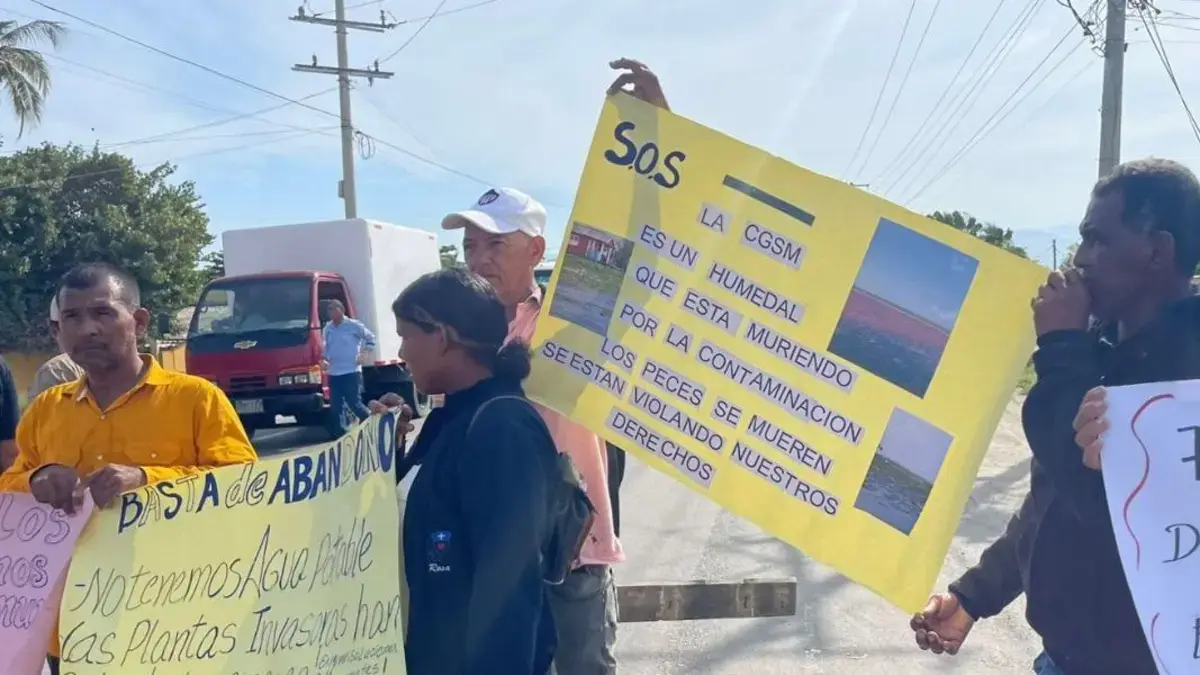 Nueva Venecia, atrapada entre agua y malas hierbas: gente de palago que podrían desaparecer
 – Ojo critico