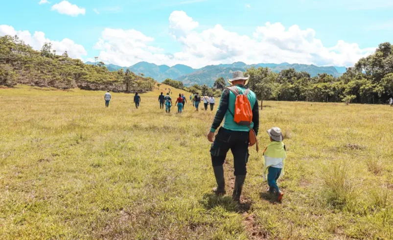 Peace Linadores Del Doncello en Caquetá recibió 235 hectáreas de tierra para quedarse dormido en el futuro del conflicto

 – Ojo critico