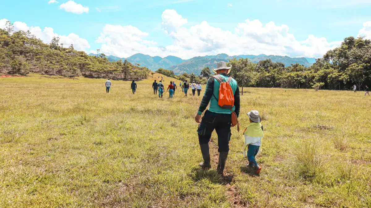 Peace Linadores Del Doncello en Caquetá recibió 235 hectáreas de tierra para quedarse dormido en el futuro del conflicto
 – Ojo critico