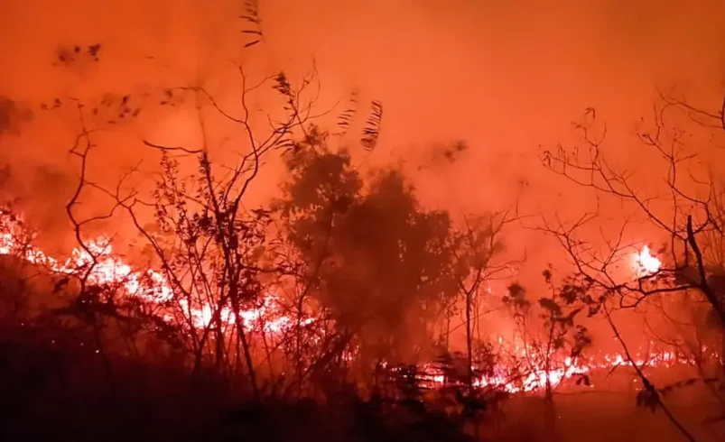 Informar un incendio del bosque de Vamia en Dolores, Tolima; Los residentes solicitan la ayuda de los bomberos para suprimir las llamas: «Nacimiento del nacimiento»
 – Ojo critico