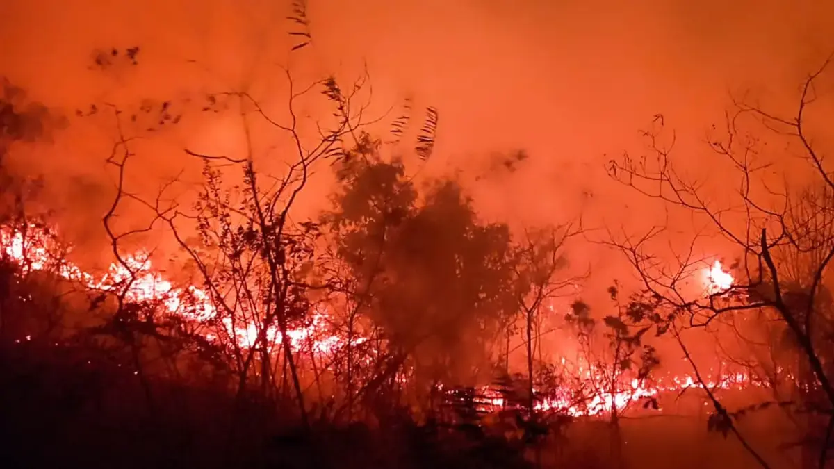 Informar un incendio del bosque de Vamia en Dolores, Tolima; Los residentes solicitan la ayuda de los bomberos para suprimir las llamas: «Nacimiento del nacimiento»

 – Ojo critico
