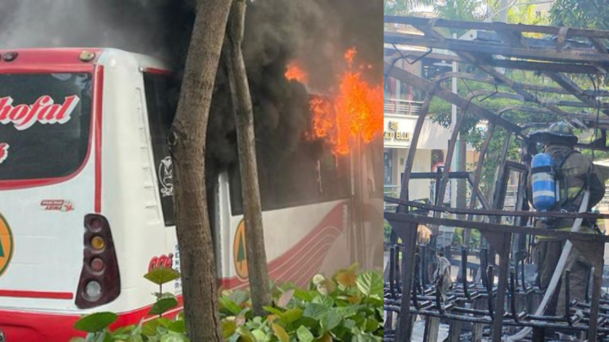 Coocchofal Bus fue completamente quemado en una carretera pública completa
 – Ojo critico