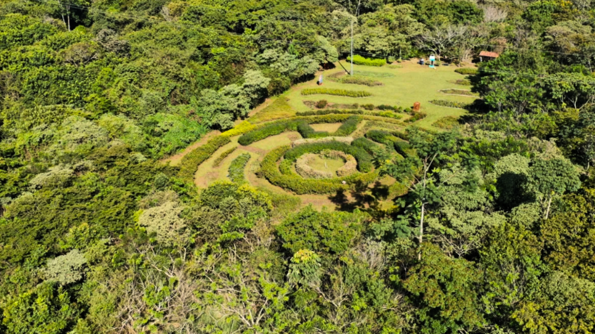 Pance abre la puerta del ecoparque de la diversidad biológica COP16
 – Ojo critico