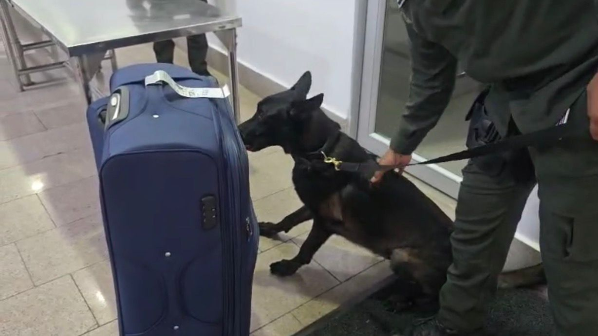 «Mule» cae en el aeropuerto de Cartagena con seis kilos de cocaína escondida en una maleta hacia Europa

 – Ojo critico