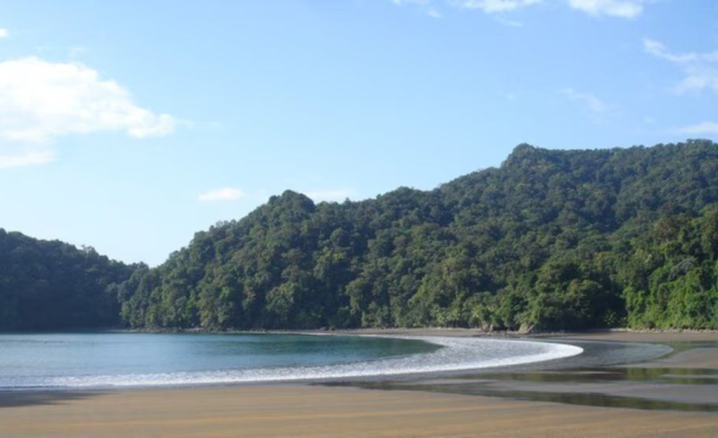 Tres turistas murieron ahogado, y uno falta en las playas de Bahía Solano, Departamento de Chocó: Esto es conocido

 – Ojo critico