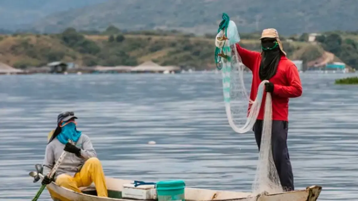 Contrato de pesca de Barrancabermeja, que se observa por el control sobre los altos costos en sets y talleres, pero no se hicieron
 – Ojo critico