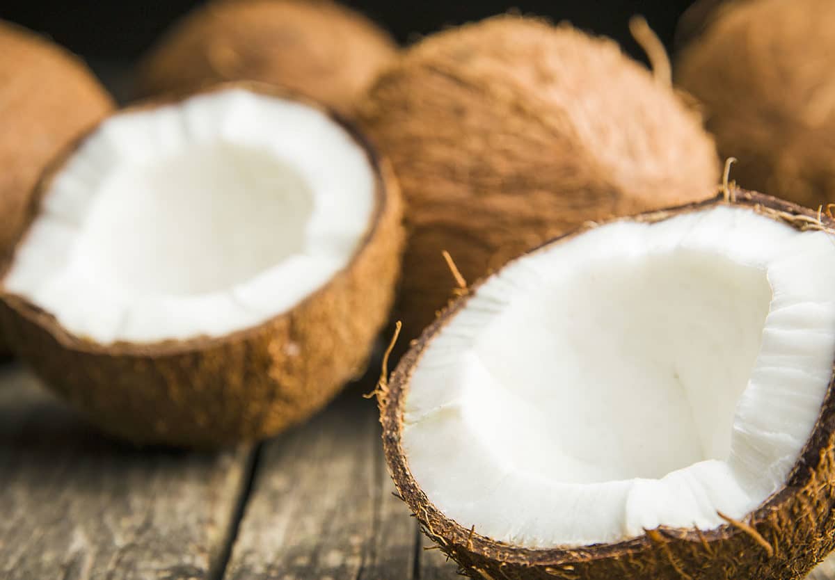 Día mundial de coco: celebrando una fruta que une la salud, la cultura y la sostenibilidad
 – Ojo critico