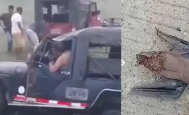 El murciélago entraría en la cabaña de Willys, que giró durante el transporte de 21 estudiantes

 – Ojo critico