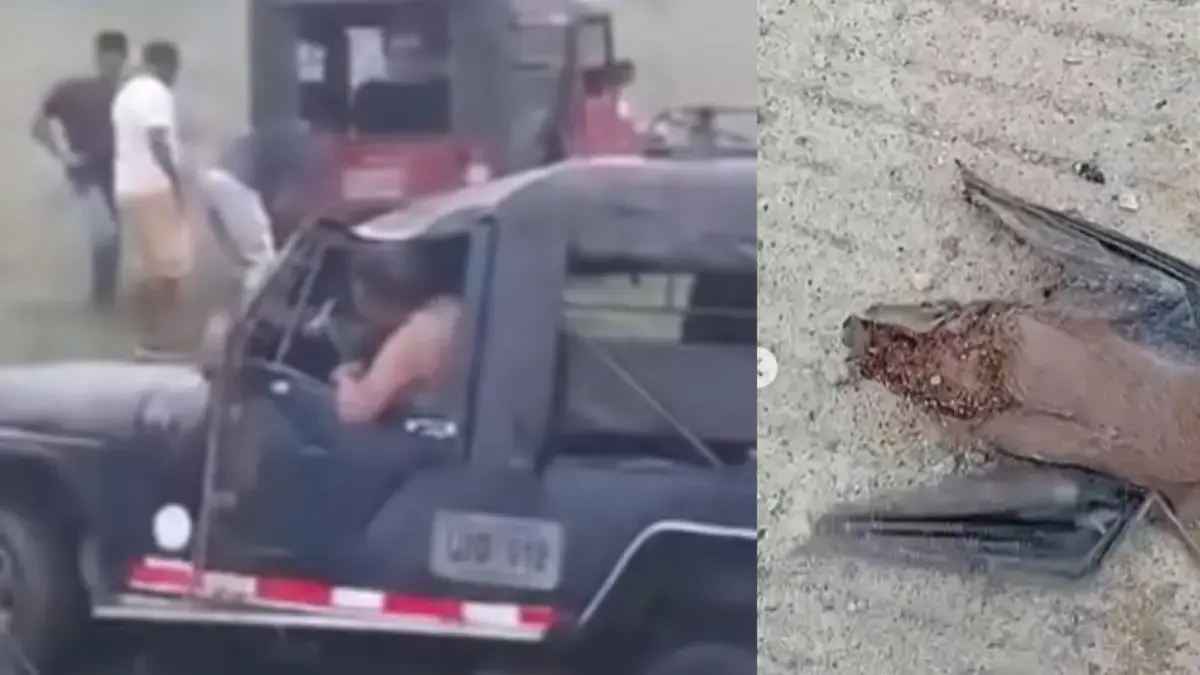 El murciélago entraría en la cabaña de Willys, que giró durante el transporte de 21 estudiantes
 – Ojo critico