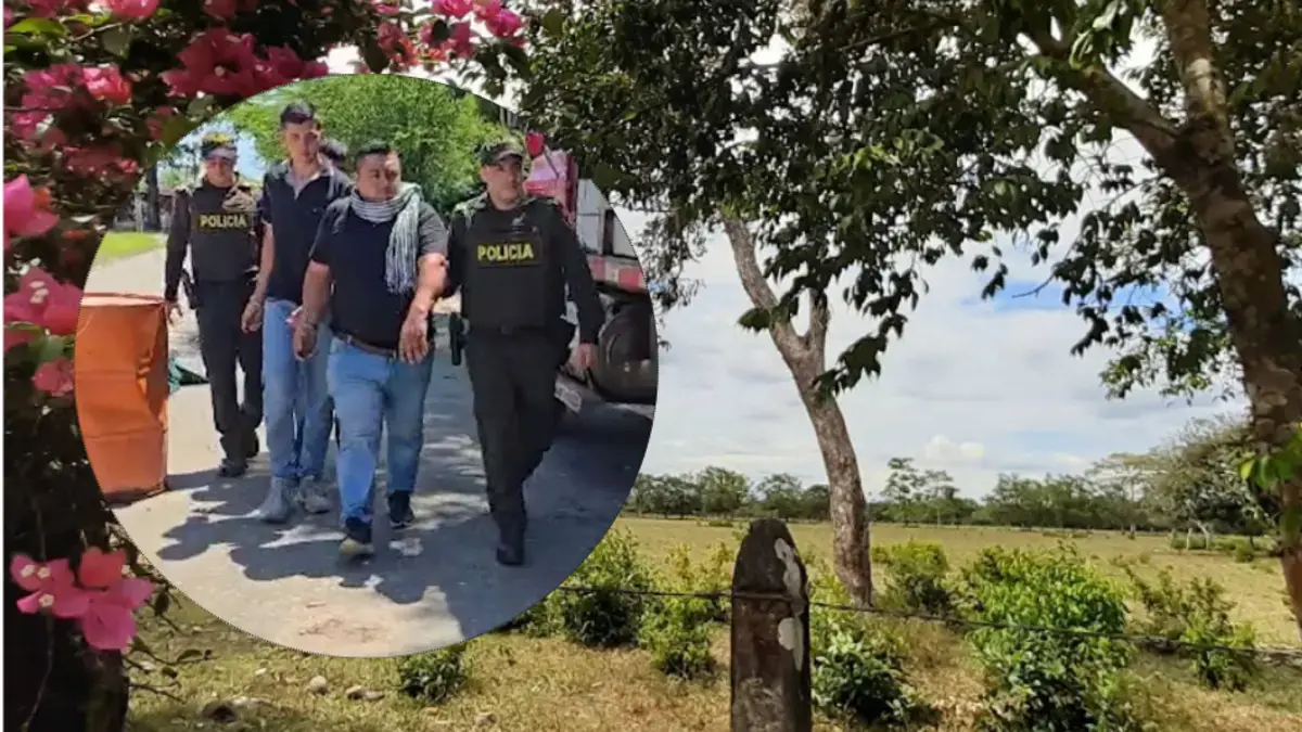 Secuestraron y robaron 43 ganado por $ 903 millones; Fue un rescate
 – Ojo critico