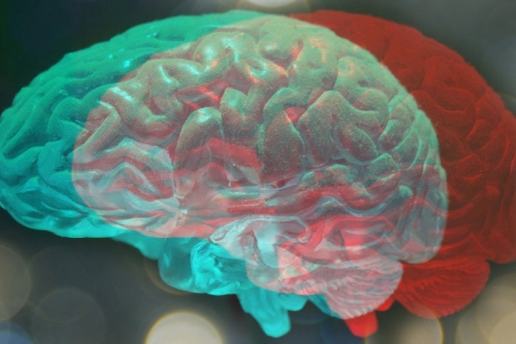 La píldora experimental repara el cerebro y repara las funciones motoras y cognitivas,
 – Ojo critico