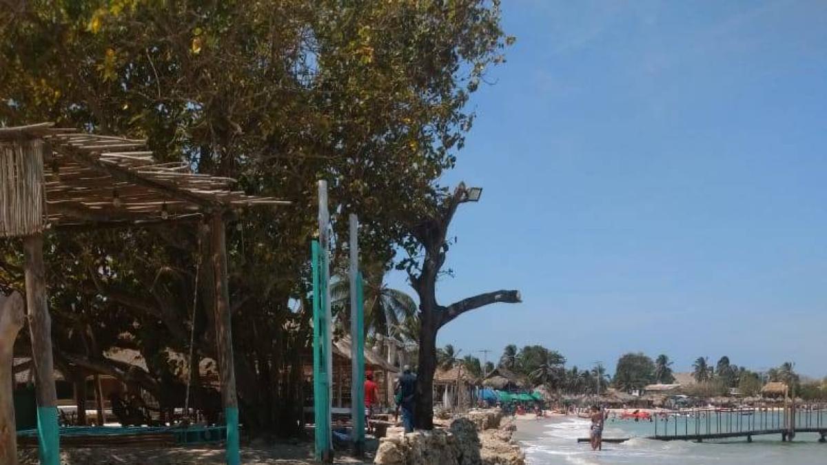 El derrumbe de un quiosco de madera en una playa de Cartagena hirió a 15 personas y expuso los riesgos asociados a estas estructuras irregulares utilizadas para el turismo
 – Ojo critico