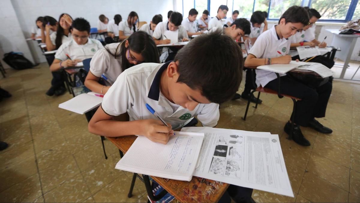 En 2024, la tasa de abandono en los colegios oficiales se mantuvo en el 3,5%, el mismo nivel que en 2023.
 – Ojo critico
